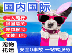 于田万方航空邮寄国际宠物托运 【国